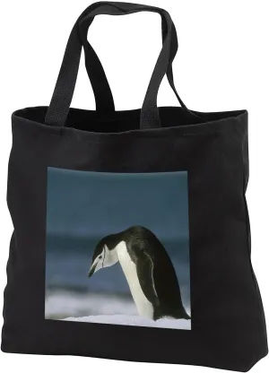 3dRose Chinstrap Penguin, Antarctica.-AN02 KSC0039 - Kevin Schafer Tote Bag
