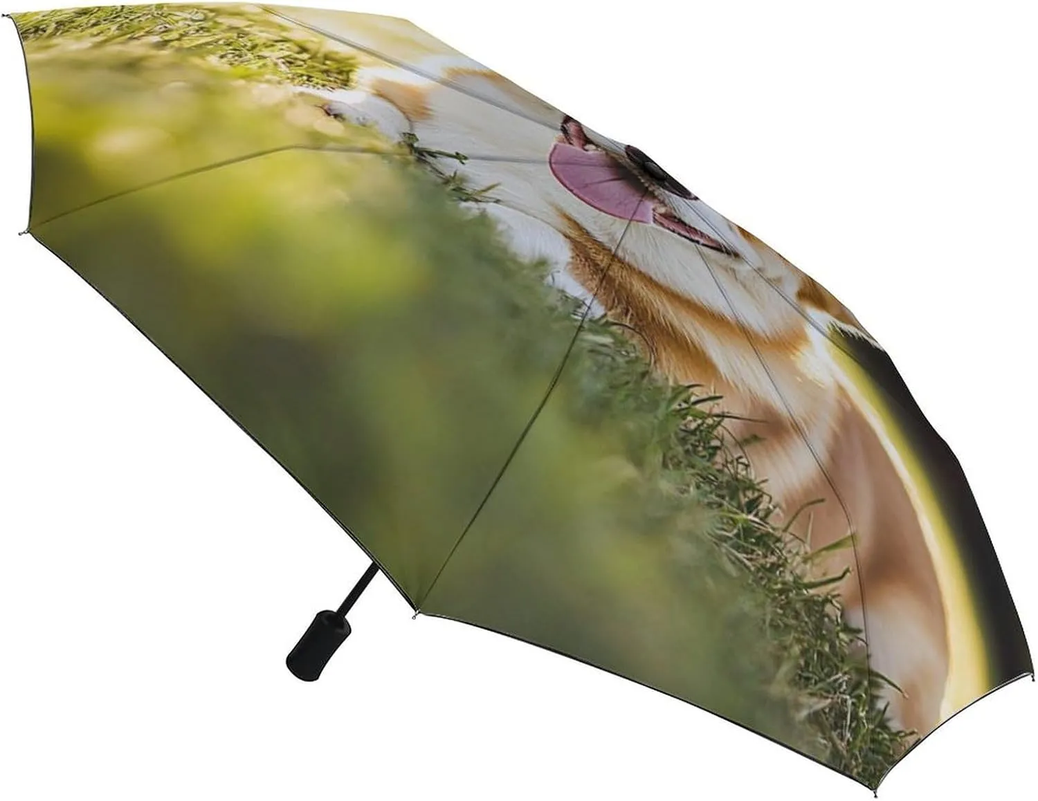 AMRANDOM Folding Umbrella Auto Windproof Travel Umbrella
