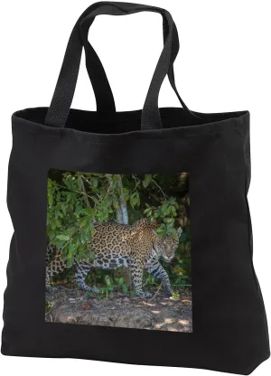 Black Tote Bag JUMBO 20w x 15h x 5d - A jaguar prowls on the banks of the Pantanal, Brazil Big Cats