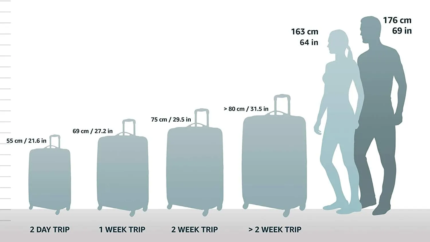Briggs & Riley 28" Medium Trunk Spinner - Checked Luggage for Travel, Suitcases with Wheels, Hardside Rolling Bag for Men & Women, Self-Repairing Zipper - Torq Collection, Hunter Green