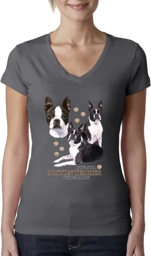 If It's Not a Boston Terrier It's Just a Dog Gift Dog Lover Womens Junior Fit V-Neck Tee