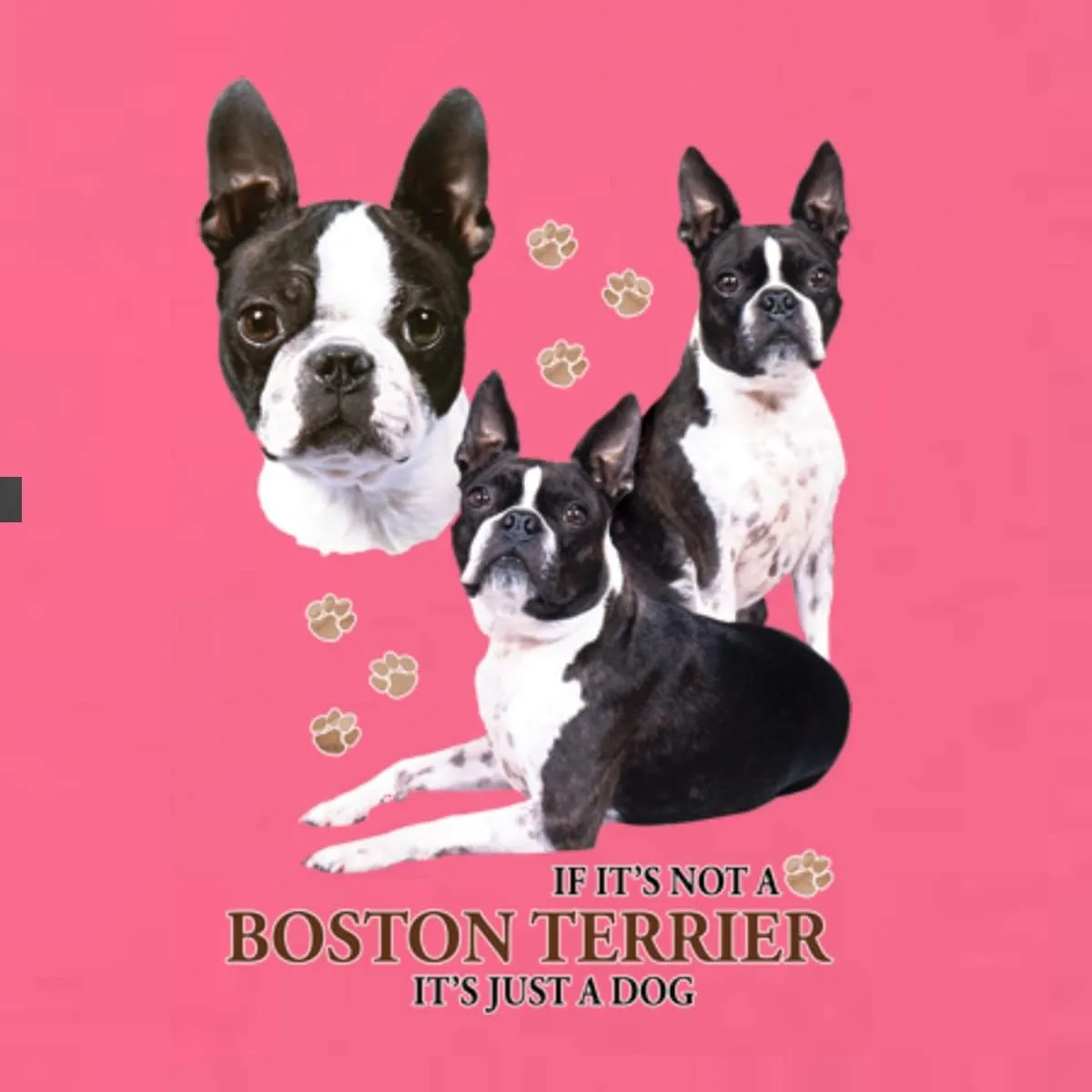 If It's Not a Boston Terrier It's Just a Dog Gift Dog Lover Womens Junior Fit V-Neck Tee