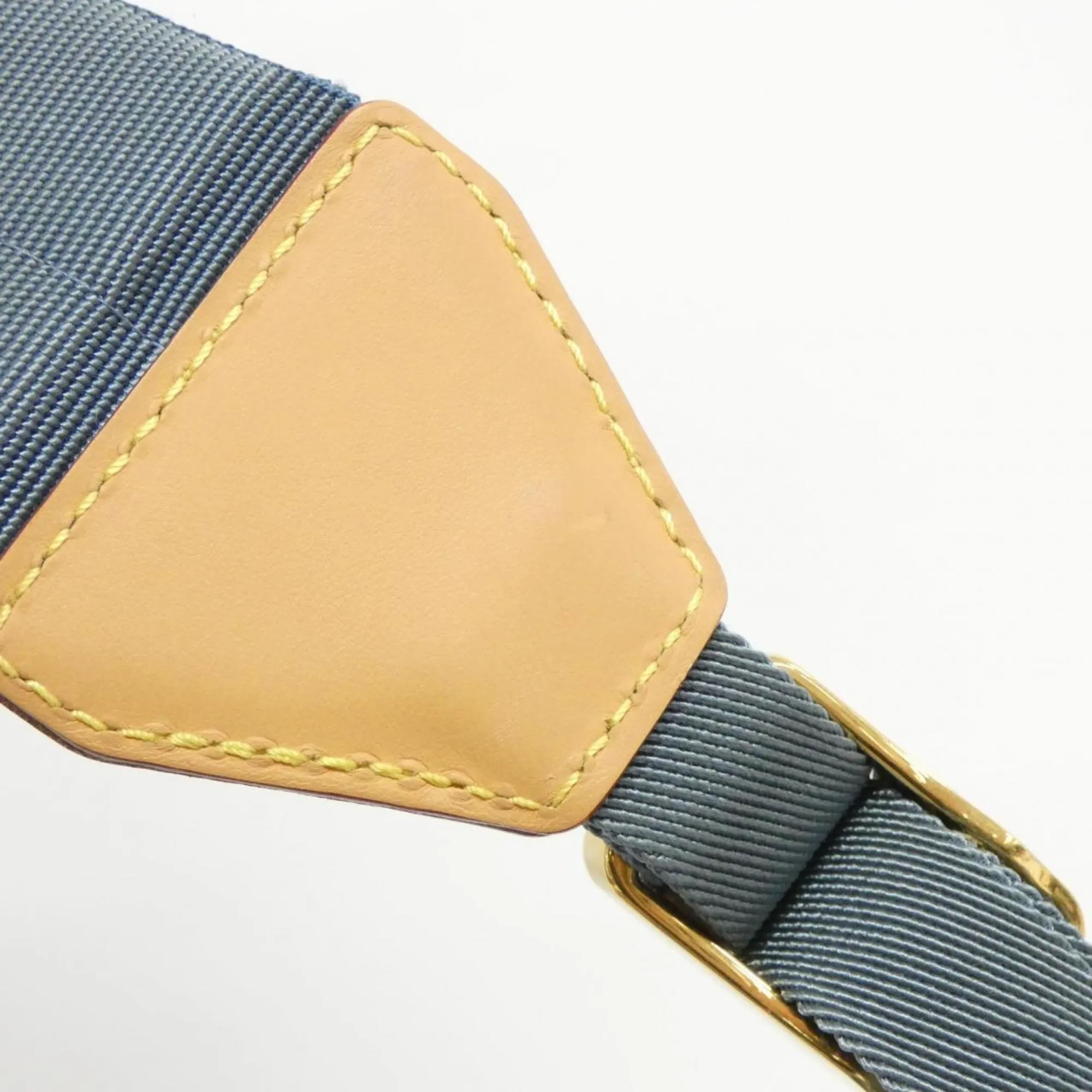 Luxurious Multicolour Canvas Backpack with Dust Bag