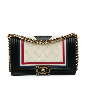 Multicolor Chanel Crest-Embellished Medium Boy Bag