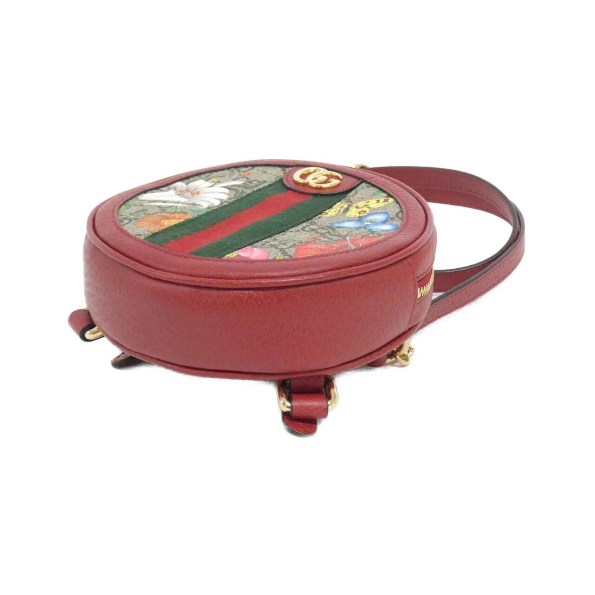 Ophidia Canvas Crossbody Bag